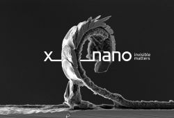 X-nano-logo